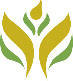 Corporación el guardián, C.A.